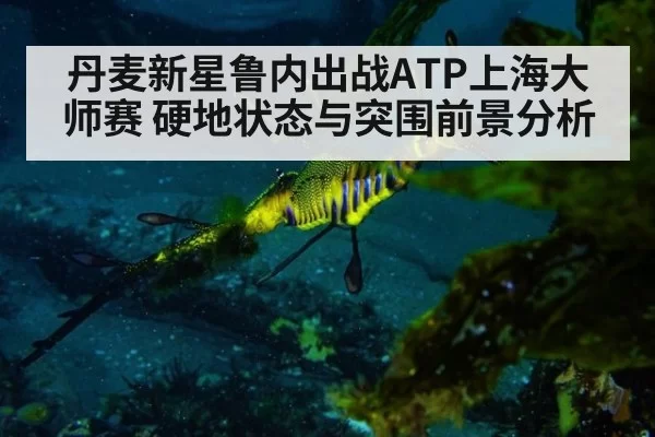 丹麦新星鲁内出战ATP上海大师赛 硬地状态与突围前景分析